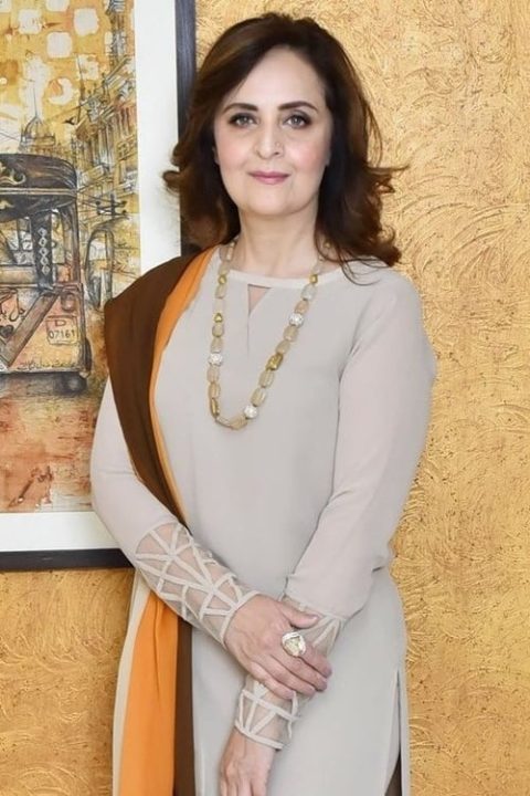 Hina Bayat Reveals Truth About Big Channels