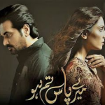 Did Ali Sufian Marry Mehwish from 'Mere Paas Tum Ho'?