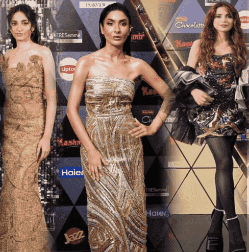 List of the Celebrities Who Receive Hum Style Awards 2024 - Celebrities ...