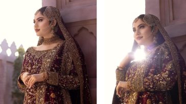 Neelam Muneer set to tie the knot: When will the wedding happen?