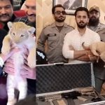 TikToker Rajab Butt sentenced for illegal possession of a lion cub