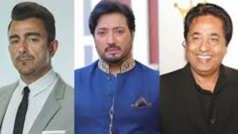 Saud holds Shaan and Syed Noor responsible for Lollywood's downfall