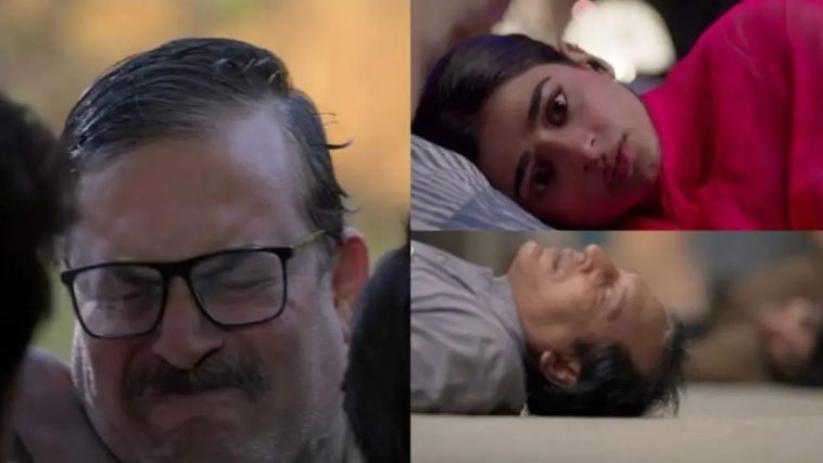 How Viewers Reacted to the Final Episode of Tan Man Neel o Neel
