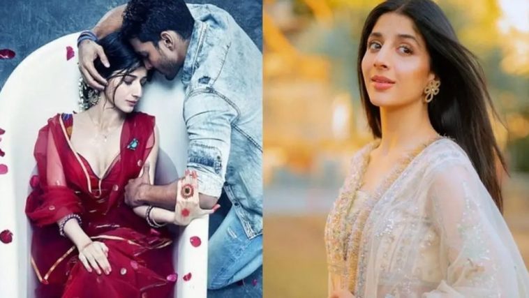 Sanam Teri Qasam Re-release in India – Mawra Hocane’s Film Sees Impressive Box Office Collection!