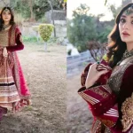 Durefishan Saleem Regal Wedding Look Mesmerizes Fans