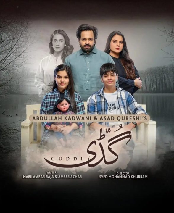 Top 8 Pakistani Soap Dramas Streaming on YouTube