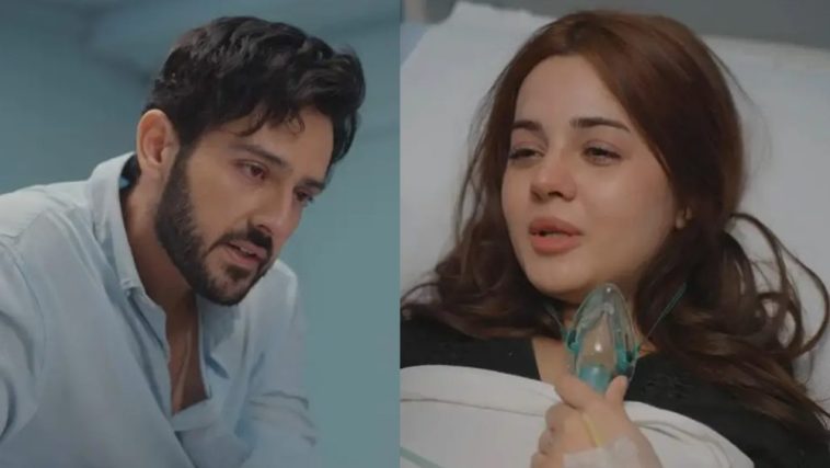 Ae Dil Finale Leaves Fans Divided as Reactions Pour In