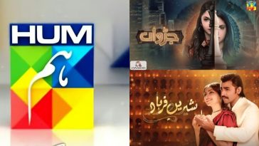 Hum TV Under Fire for Asking Indian Fans to Watch Dramas