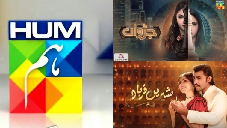 Hum TV Under Fire for Asking Indian Fans to Watch Dramas