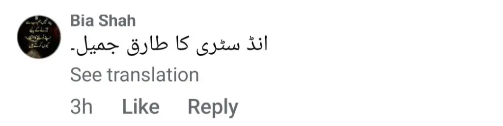 Love Guru Comments