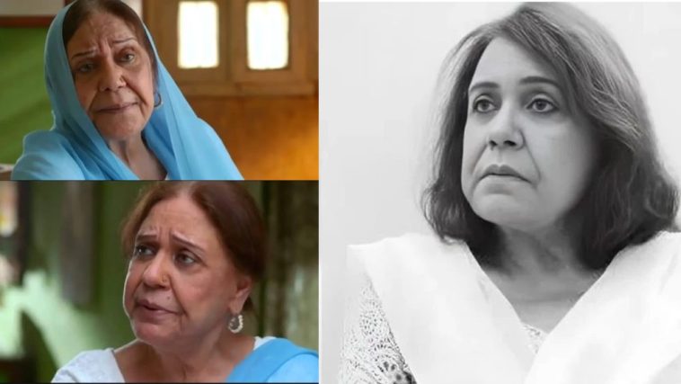 Beloved Veteran Actress Ayesha Khan Passes Away